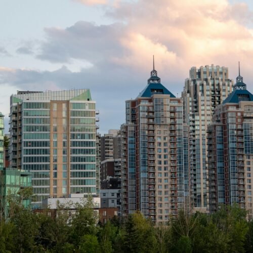 Domiciliation BUSINESS+