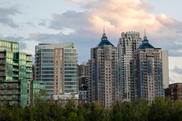 pexels-am83-33719018 BUSINESS+ Domiciliation